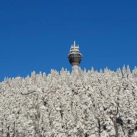 Puijo & Autotalli Apartamento Kuopio