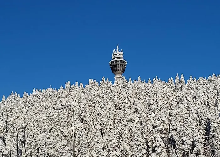 Puijo & Autotalli Διαμέρισμα Κουόπιο